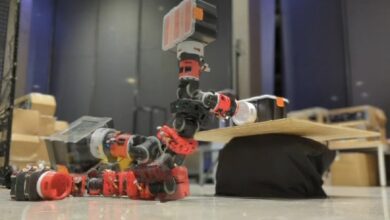 An approach to enable both locomotion and manipulation in a snake-inspired robot