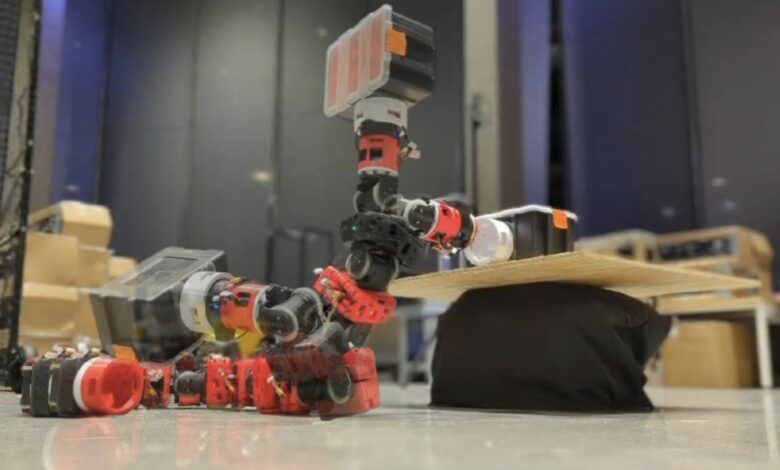 An approach to enable both locomotion and manipulation in a snake-inspired robot An approach to enable both locomotion and manipulation in a snake-inspired robot