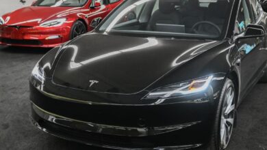 What a Tesla ‘Seagull’ Might Cost, and Where It Would Sell