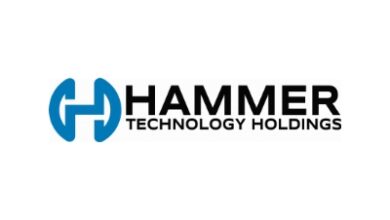 HammerPay (USA) Ltd., a Subsidiary of Hammer Fiber Optics Holdings Corp. (HMMR), Gears Up for Significant Growth Milestone in Fintech Sector