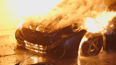 EV goes up in flames, damages home in Los Angeles