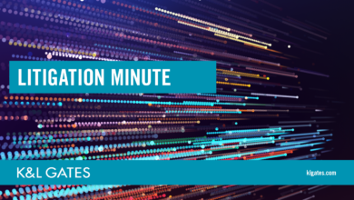 Litigation Minute: The Generative AI Litigation Landscape | HUB