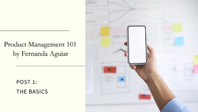 Product Management 101 — by me, Fernanda Aguiar — Post 1: The Basics | by Fernanda Camilo Aguiar | May, 2024