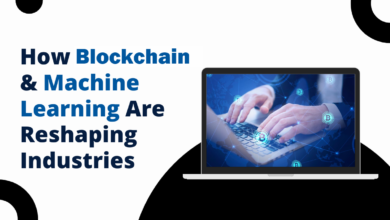 How Blockchain and Machine Learning Are Reshaping Industries | by Akim | May, 2024