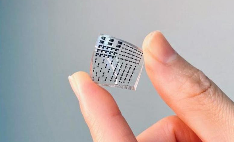 Robotic Care: The Future of Touch with Stretchable E-Skin | by Oluwafemidiakhoa | May, 2024 Robotic Care: The Future of Touch with Stretchable E-Skin | by Oluwafemidiakhoa | May, 2024