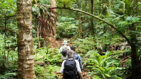 Pol Fernandez Botanists collecting specimens in New Caledonia