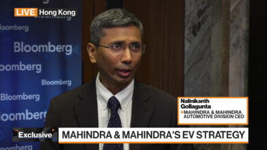 Watch Mahindra Auto Division CEO On EV Strategy