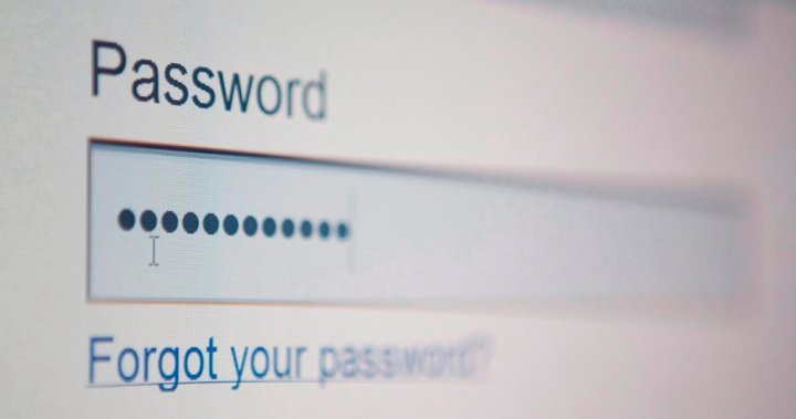 U.K. bans generic passwords over cybersecurity concerns. Should Canada be next? – National U.K. bans generic passwords over cybersecurity concerns. Should Canada be next? – National
