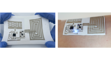 Researchers develop stretchable electronic skin with telecommunication capabilities for first time