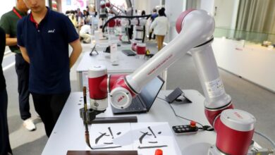 Ascending local brands make their mark on rising robots-Xinhua