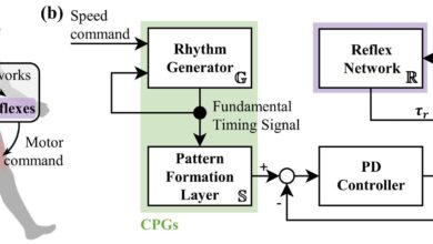 Generative AI that Imitates Human Motion