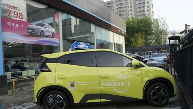 Thrifty China EV grabs attention