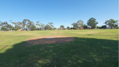 Portion of Morley’s Crimea Park to be transformed to make way for 30m Amplitel telecommunications tower