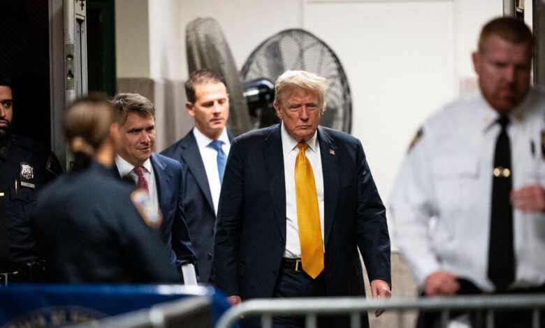 Trump Can Sue Niece Over Disclosure of Financial Documents, Court Rules Trump Can Sue Niece Over Disclosure of Financial Documents, Court Rules