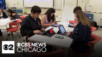 Buffalo Grove H.S. using artificial intelligence in the classroom