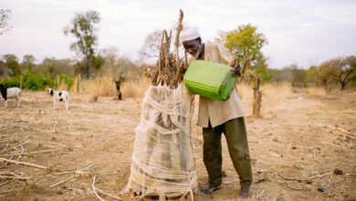 WEBCAST | Natural Resources, Sustainable Development, and Peace in Africa