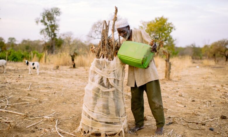 WEBCAST | Natural Resources, Sustainable Development, and Peace in Africa WEBCAST | Natural Resources, Sustainable Development, and Peace in Africa