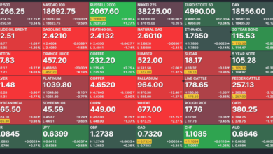 Top 5 Gainers and Losers: CAM.V, CRM.NE, CUEX.V