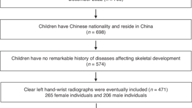 Artificial intelligence model system for bone age assessment of preschool children