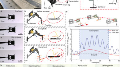 A wireless controlled robotic insect with ultrafast untethered running speeds