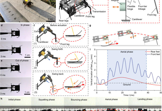 A wireless controlled robotic insect with ultrafast untethered running speeds A wireless controlled robotic insect with ultrafast untethered running speeds