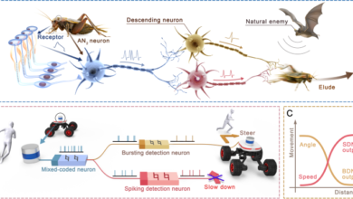 Firing feature-driven neural circuits with scalable memristive neurons for robotic obstacle avoidance