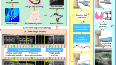 A fully autonomous robotic ultrasound system for thyroid scanning