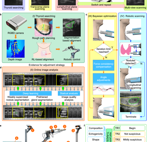 A fully autonomous robotic ultrasound system for thyroid scanning A fully autonomous robotic ultrasound system for thyroid scanning