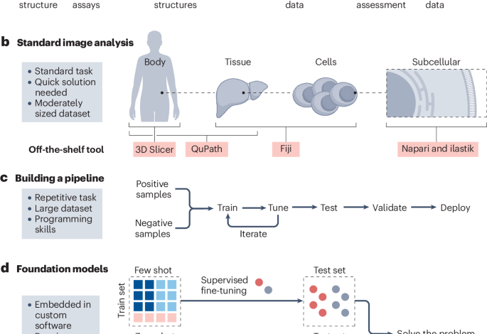 A guide to artificial intelligence for cancer researchers A guide to artificial intelligence for cancer researchers