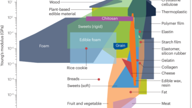 Towards edible robots and robotic food