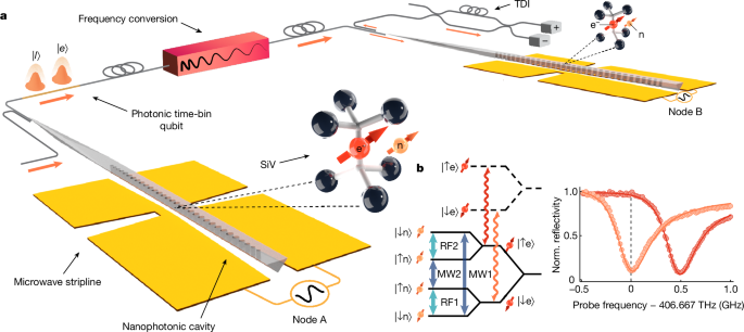 Entanglement of nanophotonic quantum memory nodes in a telecom network Entanglement of nanophotonic quantum memory nodes in a telecom network