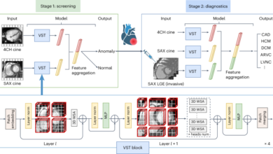 Screening and diagnosis of cardiovascular disease using artificial intelligence-enabled cardiac magnetic resonance imaging