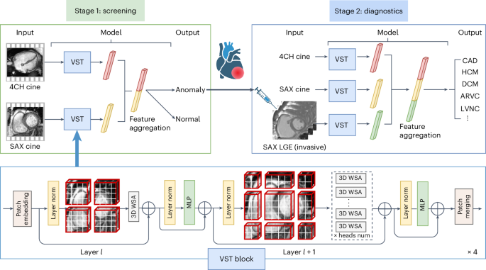 Screening and diagnosis of cardiovascular disease using artificial intelligence-enabled cardiac magnetic resonance imaging Screening and diagnosis of cardiovascular disease using artificial intelligence-enabled cardiac magnetic resonance imaging