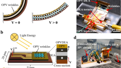 Functional soft robotic composites based on organic photovoltaic and dielectric elastomer actuator