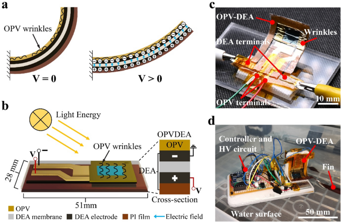Functional soft robotic composites based on organic photovoltaic and dielectric elastomer actuator Functional soft robotic composites based on organic photovoltaic and dielectric elastomer actuator