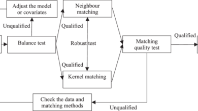 The impact and effectiveness of China’s entrepreneurship policy for back-home migrant workers