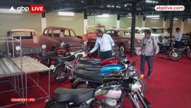 Collector Of Vintage Automobiles Throws Open His Collection For The General Public