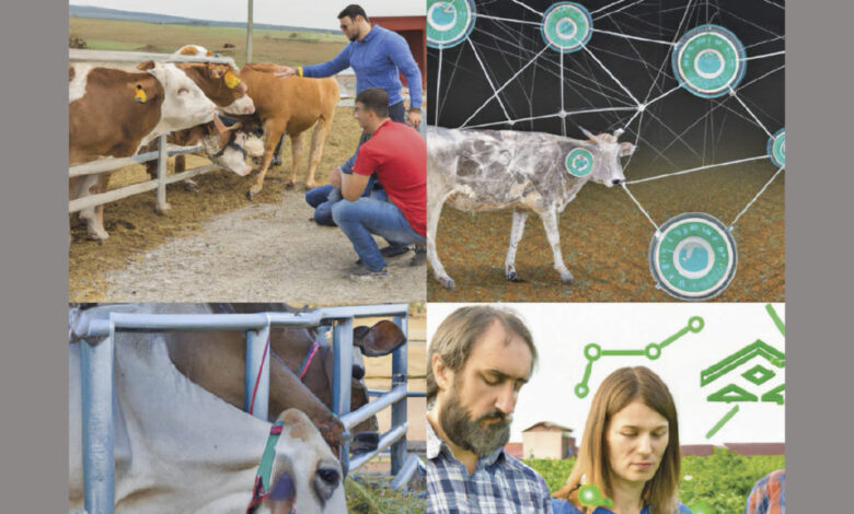 Artificial intelligence in animal feeding Artificial intelligence in animal feeding