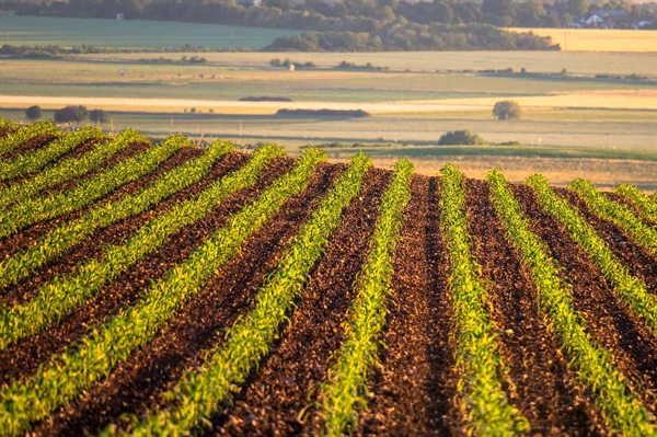 Competition Doubles Top Prize for Innovative Rural Entrepreneurs Competition Doubles Top Prize for Innovative Rural Entrepreneurs