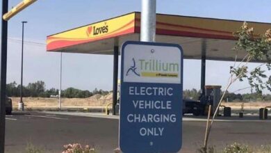 Private Sector Urged for Electric Vehicle Transition, Not Government, Says Love’s Travel Stops Official | Energy