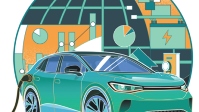 China’s EV industry driving global green development – Opinion