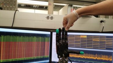 Biohybrid Robotic Hand Will Help Unravel Complex S