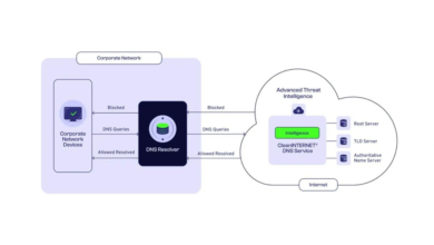 Centripetal expands portfolio with CleanINTERNET DNS