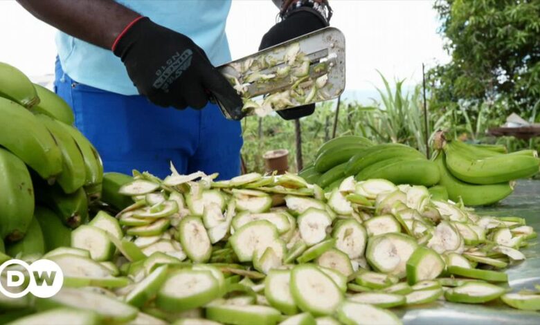 Zimbabwe entrepreneur giving wasted bananas new appeal – DW – 05/14/2024 Zimbabwe entrepreneur giving wasted bananas new appeal – DW – 05/14/2024
