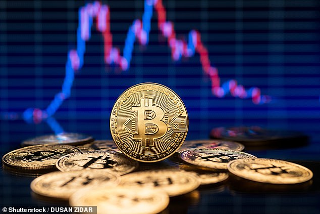 Too volatile: Niven sees bitcoin as a speculative investment and not appropriate for everyone's portfolio