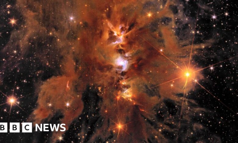 Durham scientists celebrate new Euclid Universe images Durham scientists celebrate new Euclid Universe images