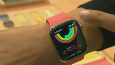 Wearable smart devices pose cybersecurity risks – FOX 32 Chicago