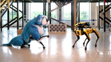 Famed robotic dog renamed to Sparkles after dazzling fur makeover video