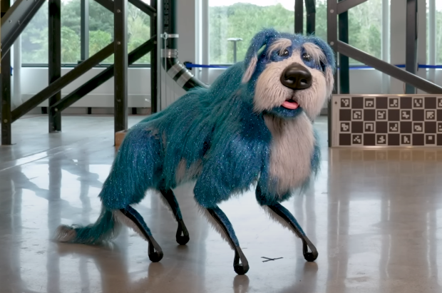 Famed robotic dog renamed to Sparkles after dazzling fur makeover video 61555555