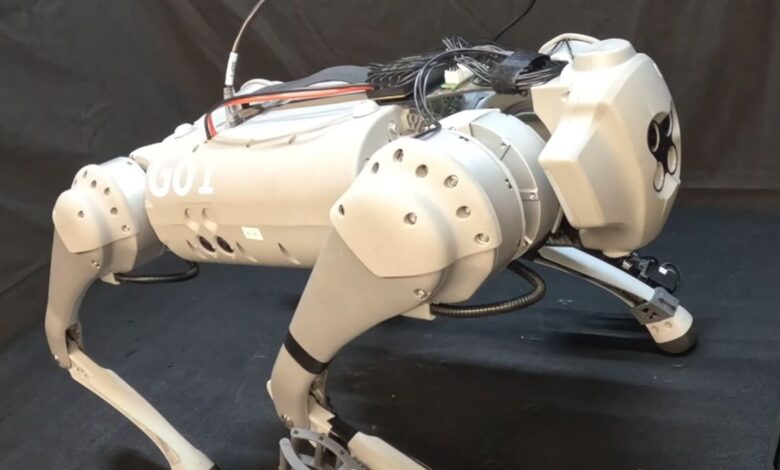 Meet LocoMan, the quirky robot dog that can stand up on its hind legs like a meerkat and play with objects Meet LocoMan, the quirky robot dog that can stand up on its hind legs like a meerkat and play with objects